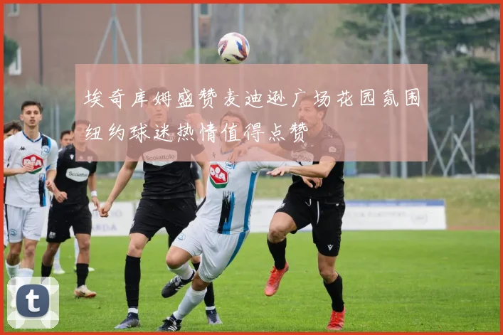 埃奇库姆盛赞麦迪逊广场花园氛围纽约球迷热情值得点赞
