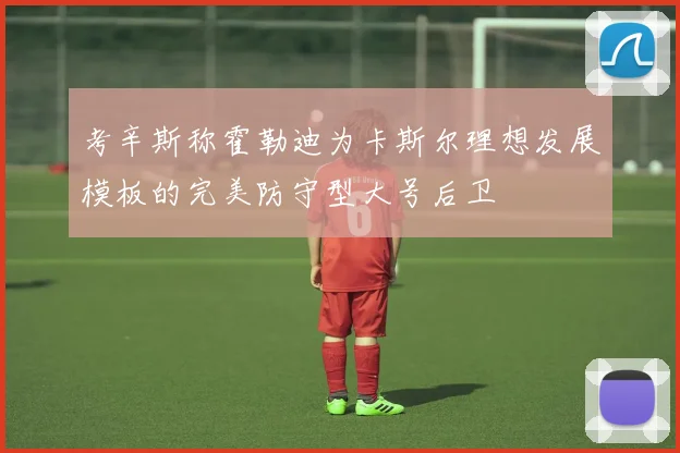 考辛斯称霍勒迪为卡斯尔理想发展模板的完美防守型大号后卫